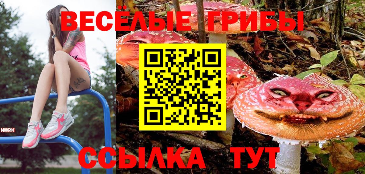 Псилоцибиновые грибы ЛСД Светлоград